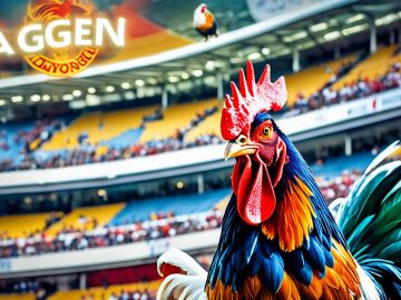 Agen Sabung Ayam IDN Online Terbaru Indonesia